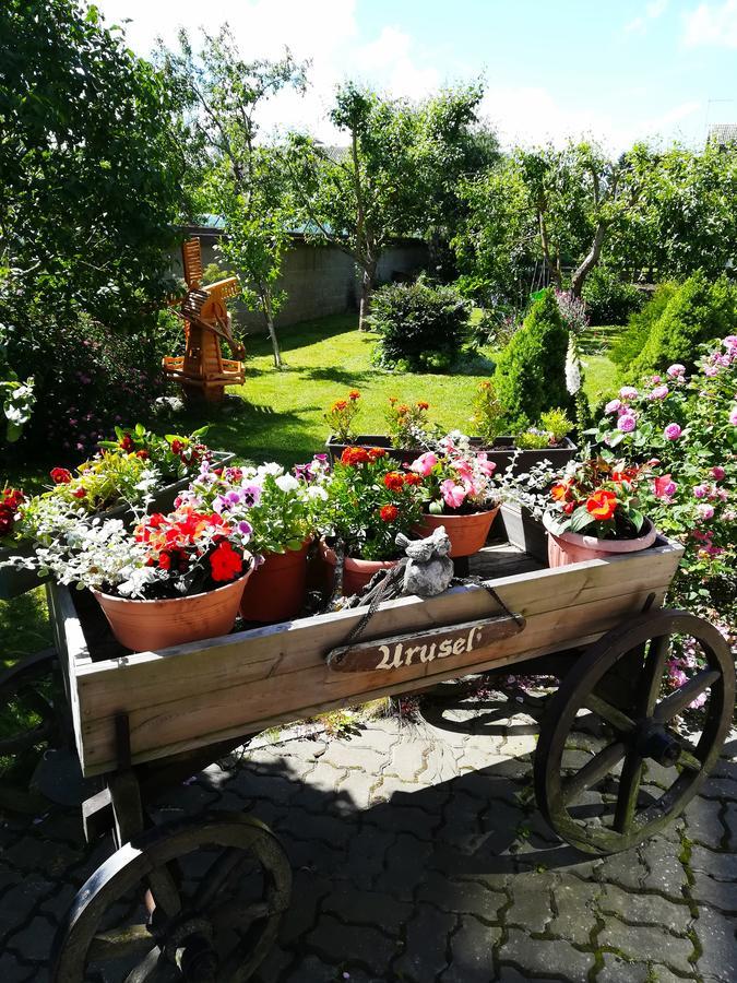 Urusel Guesthouse ทาลลินน์ ภายนอก รูปภาพ